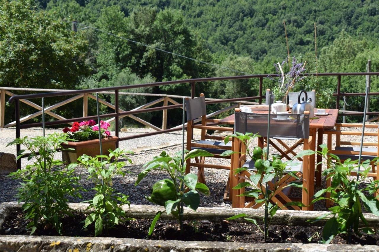 Tenuta Della Selva Murlo Exteriér fotografie